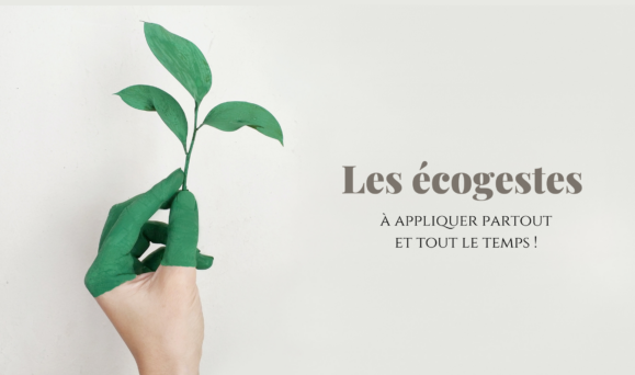 écogestes énergie