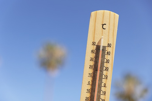 canicule marché spot électricité